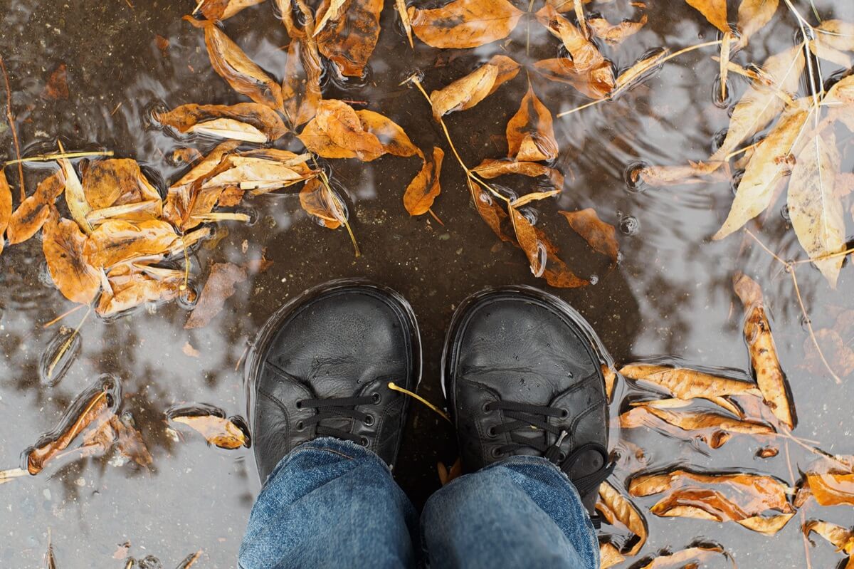 Impregnacja skórzanych butów barefoot – jak przygotować je na deszcz i słotę?