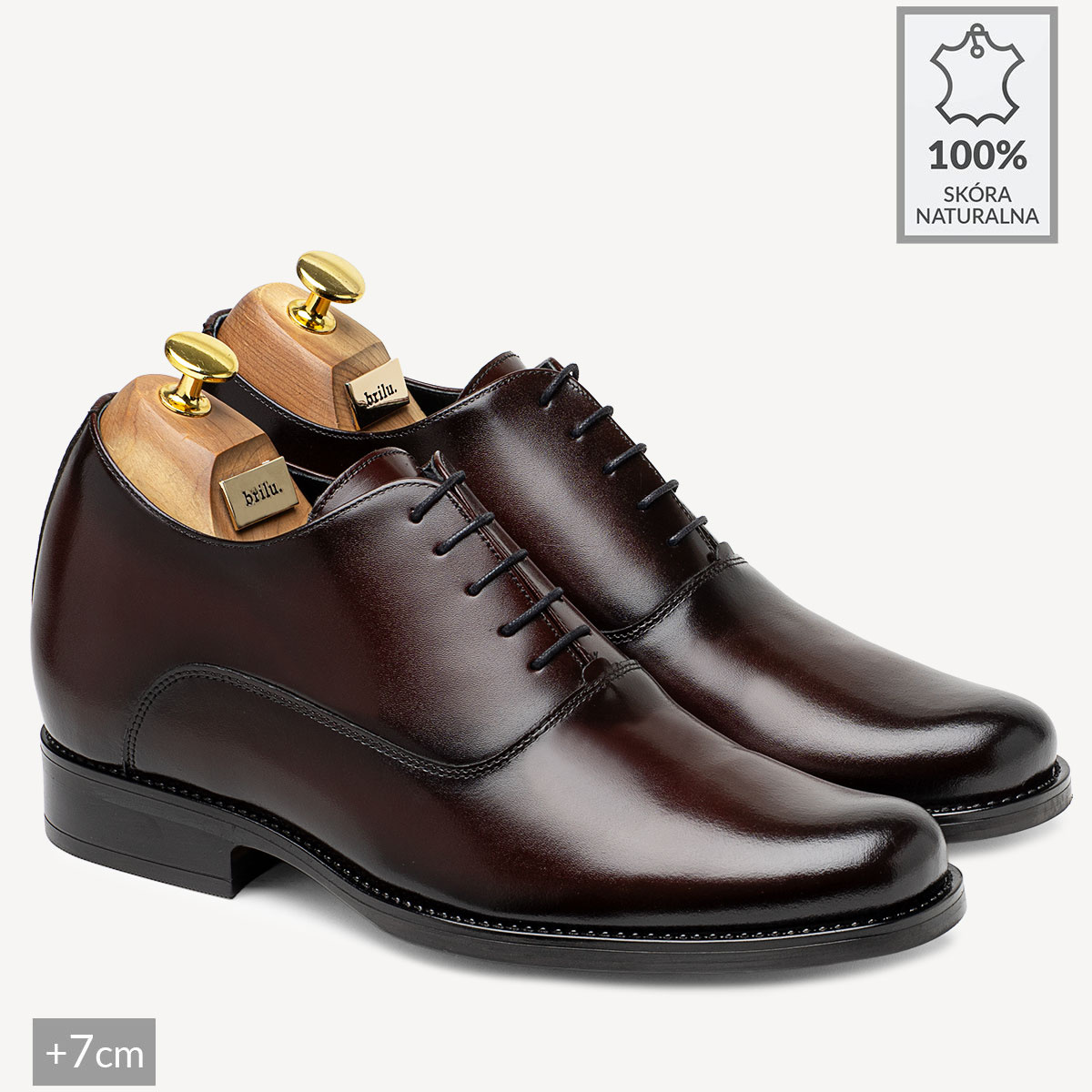Męskie podwyższające buty wizytowe James bordowe