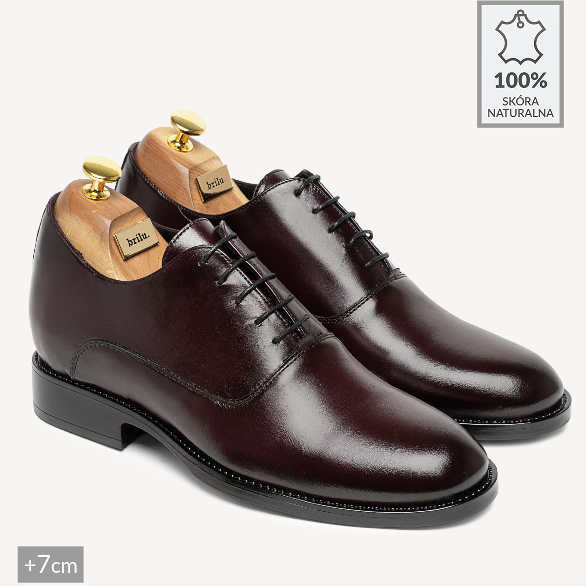 Męskie podwyższające buty wizytowe oxfordy Robert bordowe